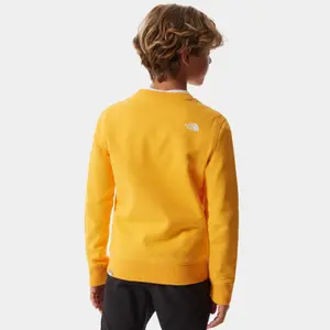 Junior Sweater The North Face Box Drew Peak image-3