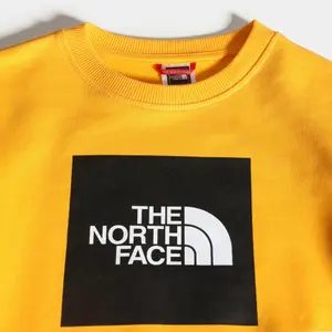 Junior Sweater The North Face Box Drew Peak image-6
