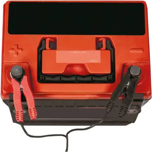 Set of battery clips Tecmate image-1