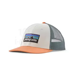 Trucker pet Patagonia LoPro image-0