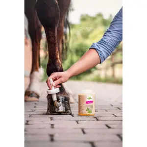 Óleo para cascos de cavalo com escova Bense & Eicke Natural Huföl image-2