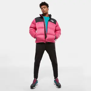 Jas The North Face Compactable 1996 Retro Nuptse image-3