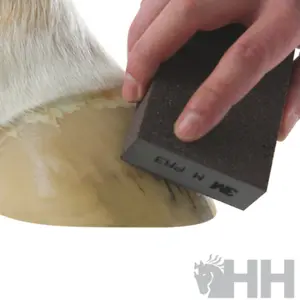 Pumice stone 3M image-1