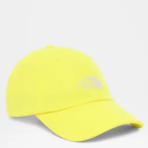 Cap The North Face Norm image-0