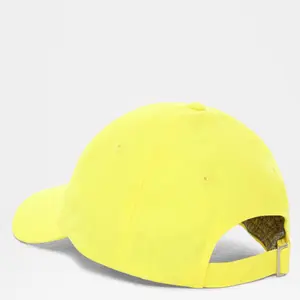 Cap The North Face Norm image-4