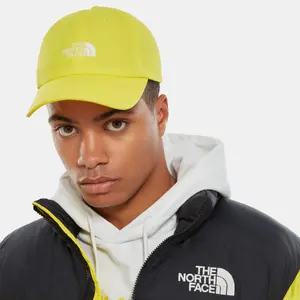Cap The North Face Norm image-2