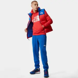 Sweatshirt med hætte The North Face Standard image-2