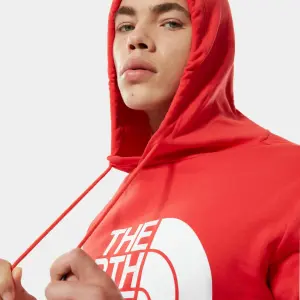 Sweatshirt med hætte The North Face Standard image-5