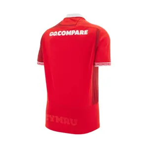 Maillot Domicile Pays de Galles 2025/26 image-2
