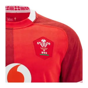 Maillot Domicile Pays de Galles 2025/26 image-3