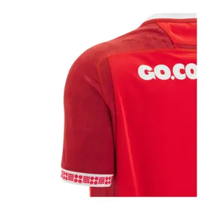 Maillot Domicile Pays de Galles 2025/26 image-4