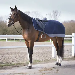 Couvre-reins imperméable pour cheval Equithème TYREX 600 D image-1