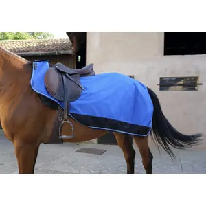 Waterproof horse rugs Equithème TYREX 1200 D image-0