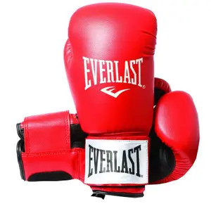Boxhandschuh Everlast Rodney image-0