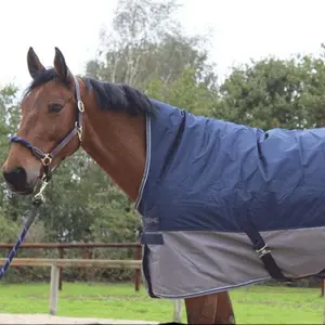 High collar horse blanket Equithème Tyrex 600 D 0g image-3