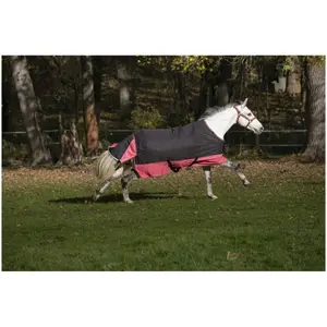 Manta para caballos Equithème TYREX 1200 D 50g image-2