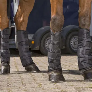 Γκέτες μεταφοράς χαμηλού ύψους για άλογα Riding World image-3
