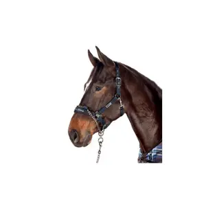 Kontrollhalfter für Pferde Eskadron image-1