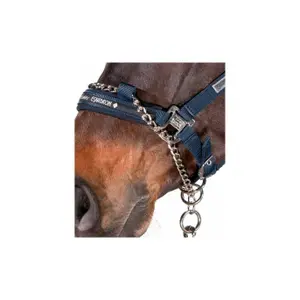 Kontrollhalfter für Pferde Eskadron image-2
