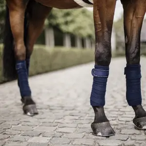 Bandes de polo pour cheval Kentucky Pearls image-1