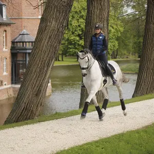 Set of 4 horse work belts Kentucky Absorb image-2