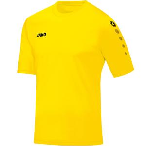 4233-e-03-kindertrikot-jako-team-zitronengelb
