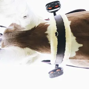 Sheepskin Saddle Strap Kentucky Horsewear image-3