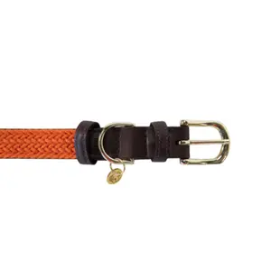 Hundehalsbånd i flettet nylon Kentucky image-1