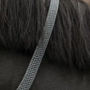 Lead Rope Kentucky image-2