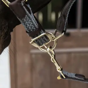 Lead Rope Kentucky image-3