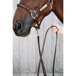 Presentation Horse Lead Rope Kentucky image-1