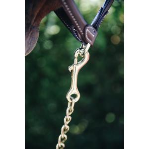 Stallion chain Kentucky image-2