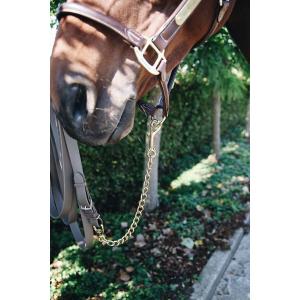 Stallion chain Kentucky image-3
