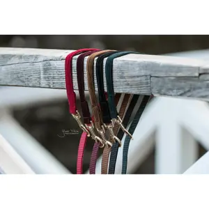 Hundeleine Kentucky Corduroy 120cm image-6