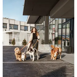 Hundesnor Kentucky Velvet 200 cm image-1