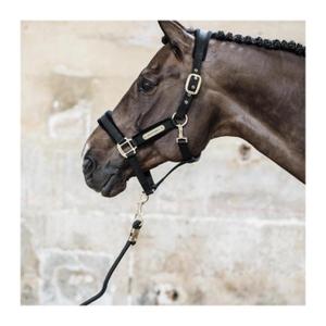 Samthalfter Kentucky image-1