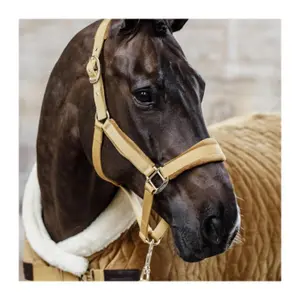 Licol velvet Kentucky image-1