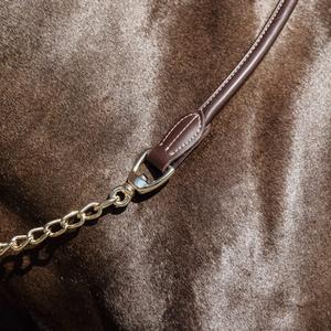 Presentation Horse Lead Rope Kentucky image-2