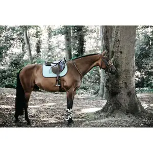 Springschabracke für Pferde Kentucky Color Edition Leather image-1