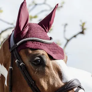 Horse hat Kentucky Wellington image-1