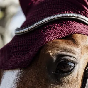 Horse hat Kentucky Wellington image-2