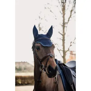 Καπέλο για άλογο Kentucky Wellington Glitter image-1