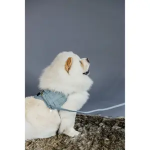 Harnais pour chien laine Kentucky Body Safe image-2