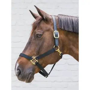 Licol pour cob Kentucky Breakaway image-1