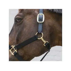Licol pour cob Kentucky Breakaway image-2