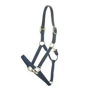 Licol pour cob Kentucky Breakaway image-0