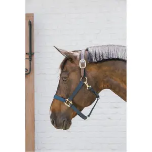 Licol pour cob Kentucky Breakaway image-2
