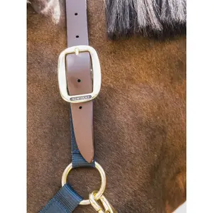Licol pour cob Kentucky Breakaway image-3
