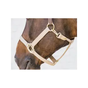 Licol pour cheval Kentucky Breakaway image-2