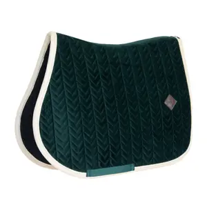 Tapis de CSO Kentucky image-0